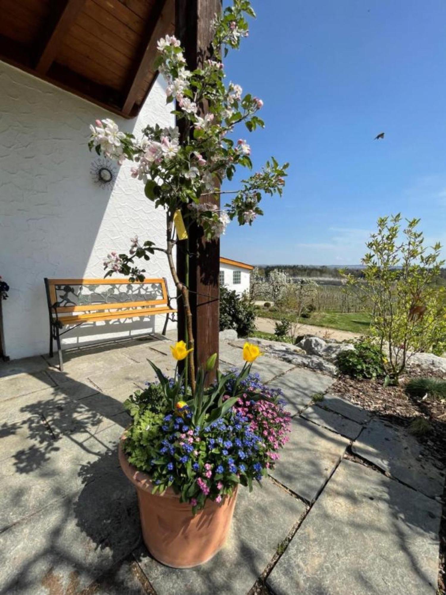 Bergchalet Mirabell - Hofgut FDH Exteriör bild
