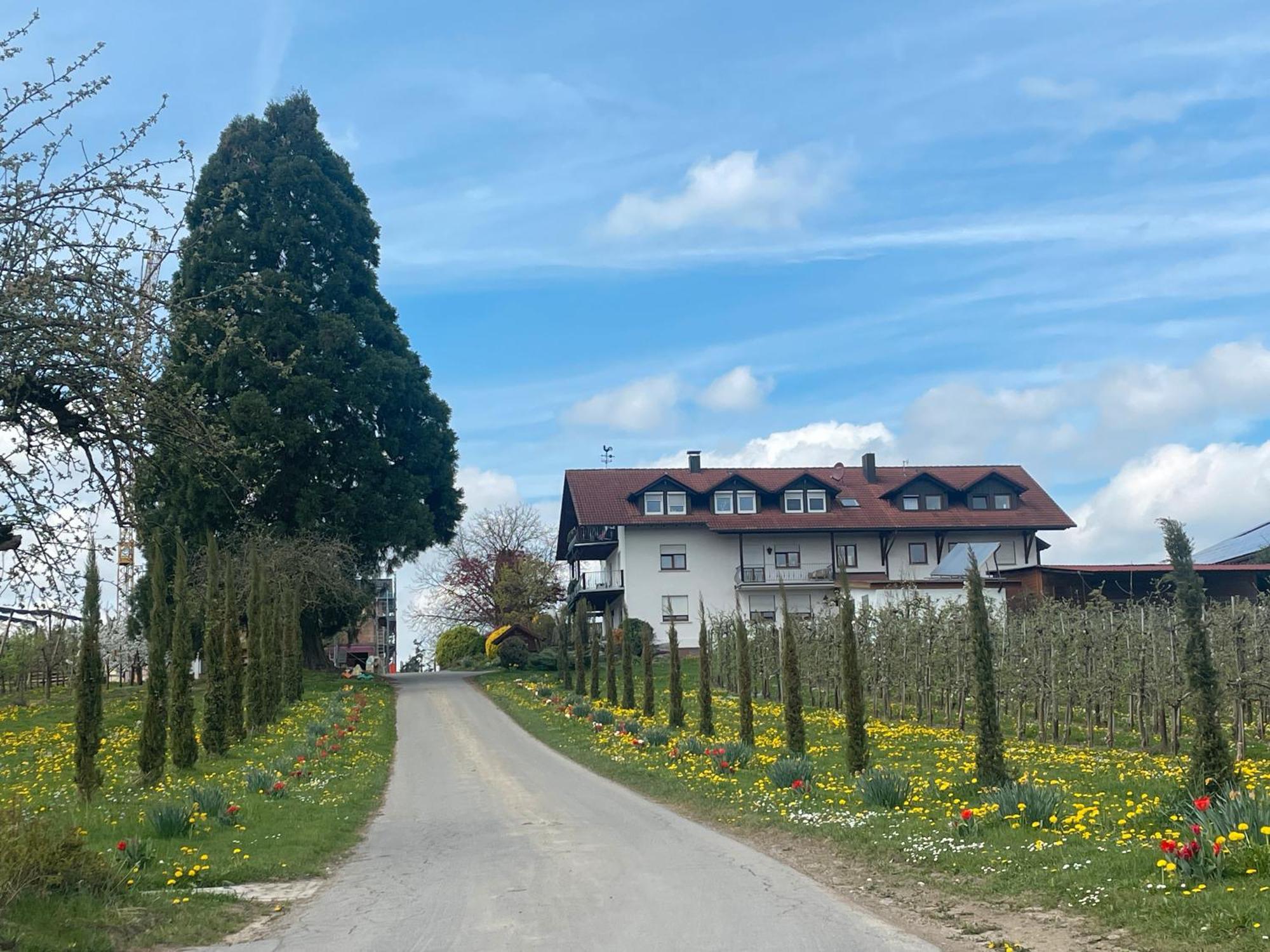 Bergchalet Mirabell - Hofgut FDH Exteriör bild